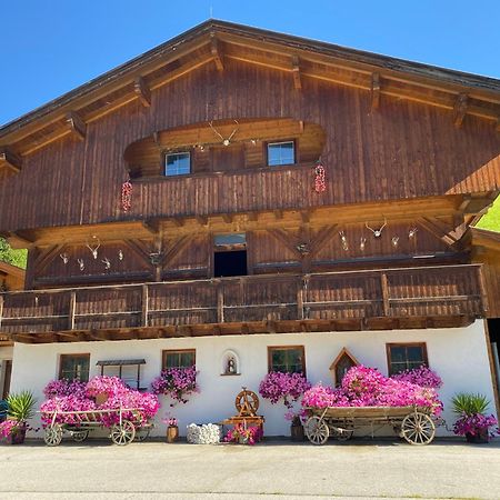 Gaestepension Klammer Kartitsch Kültér fotó