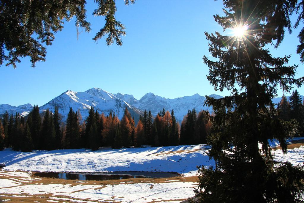 Gaestepension Klammer Kartitsch Kültér fotó