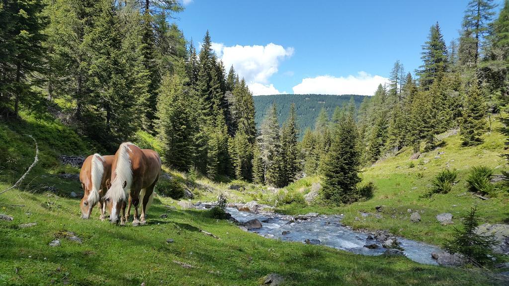 Gaestepension Klammer Kartitsch Kültér fotó